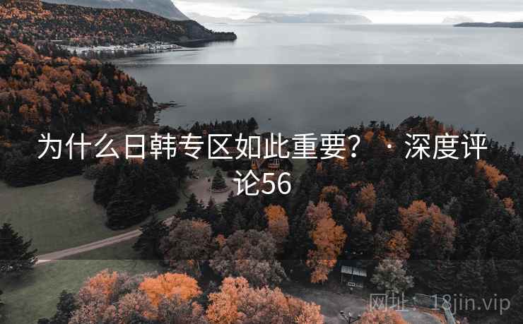 为什么日韩专区如此重要？ · 深度评论56