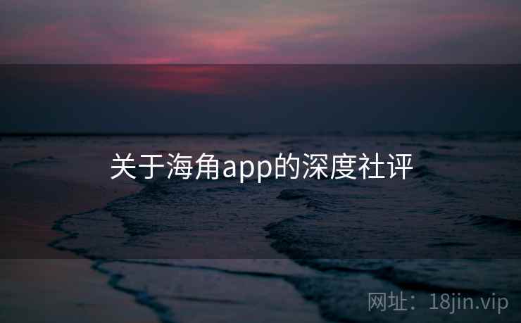 关于海角app的深度社评
