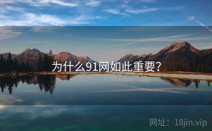 为什么91网如此重要？
