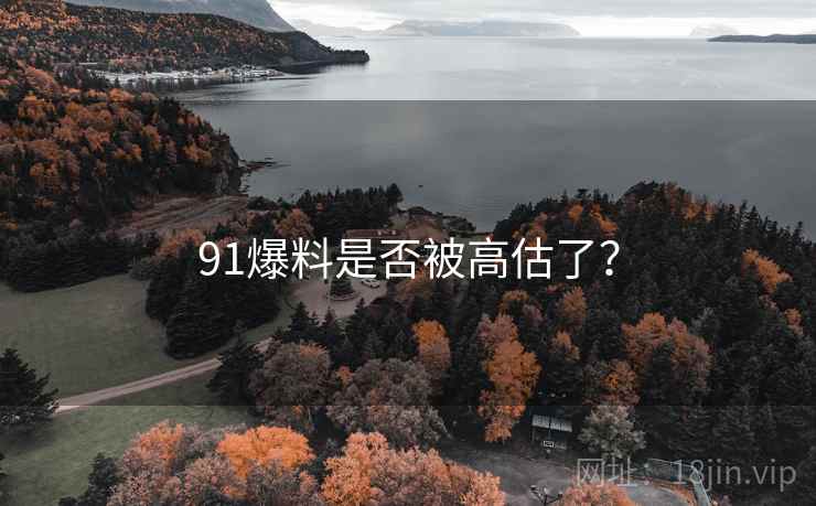 91爆料是否被高估了？