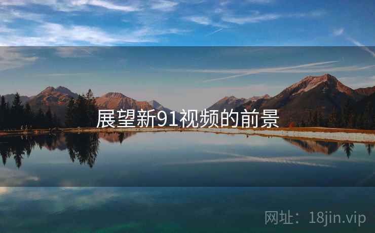 展望新91视频的前景